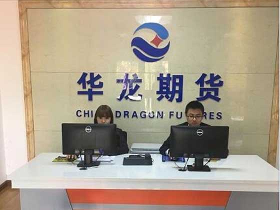 华龙期货股份有限公司(以下简称华龙期货),注册资本5亿元人民币。公司成立于1992年11月，是中国最早成立的期货公司之一,也是目前唯一一家本省期货公司。公司经中国证监会批准成立，是上海、郑州、大连、中