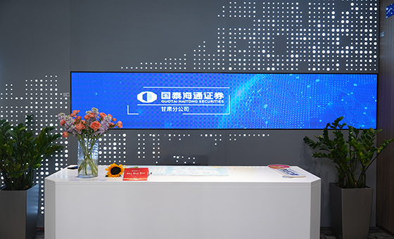 国泰君安证券股份有限公司是目前国内规模最大、经营范围最广、经营业绩最好、综合实力最强的证券公司之一。2004年起，已连续6年位居中国券商品牌价值首位，2008年成为中国品牌价值百强中首家进入、也是唯一